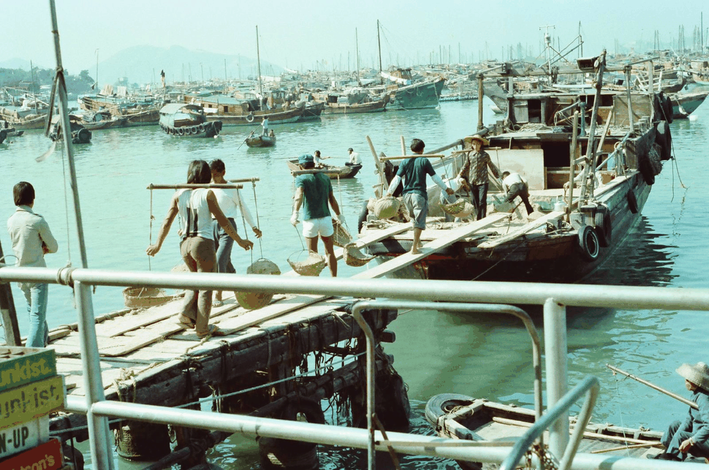 繁忙的渔港码头