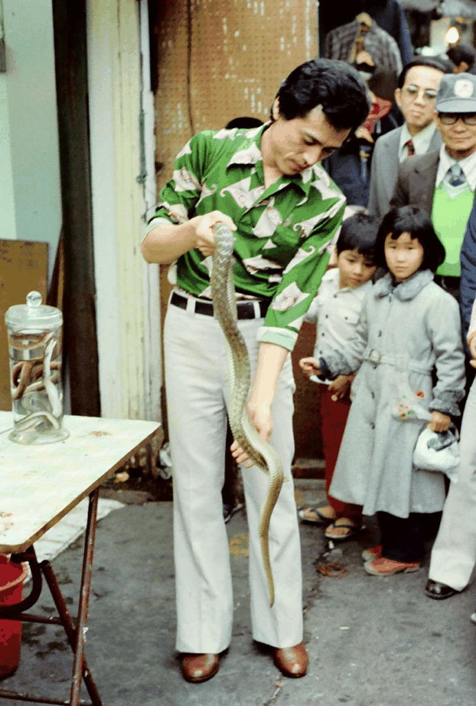 旧时光里的街头卖蛇人