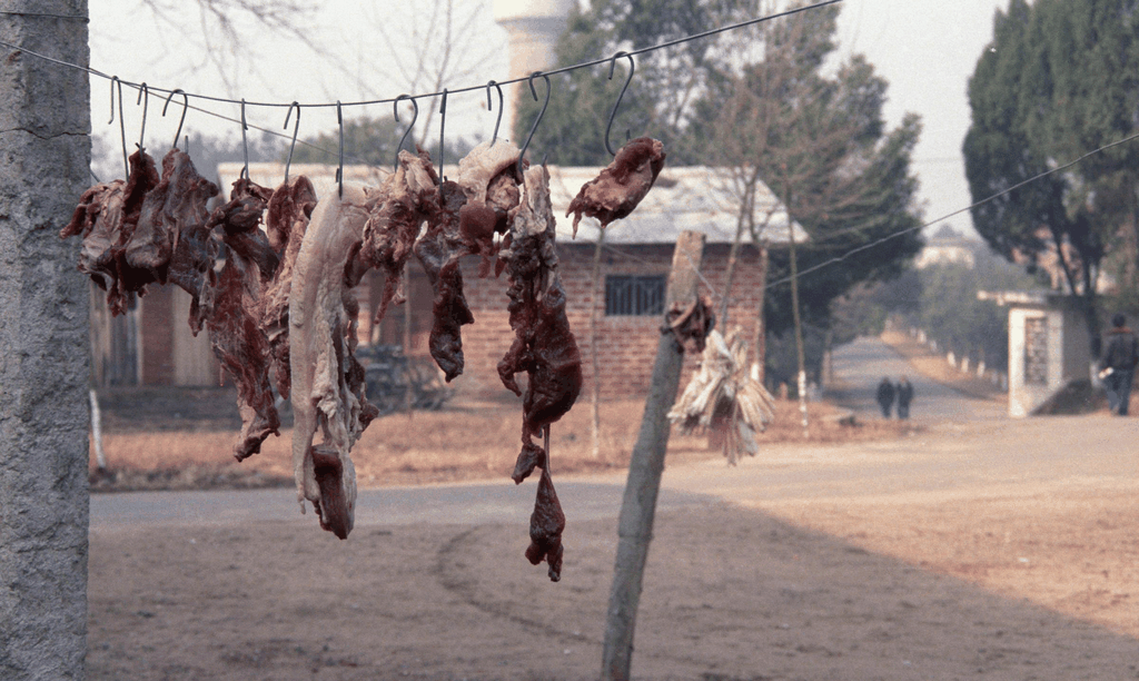 冬日里的风干肉