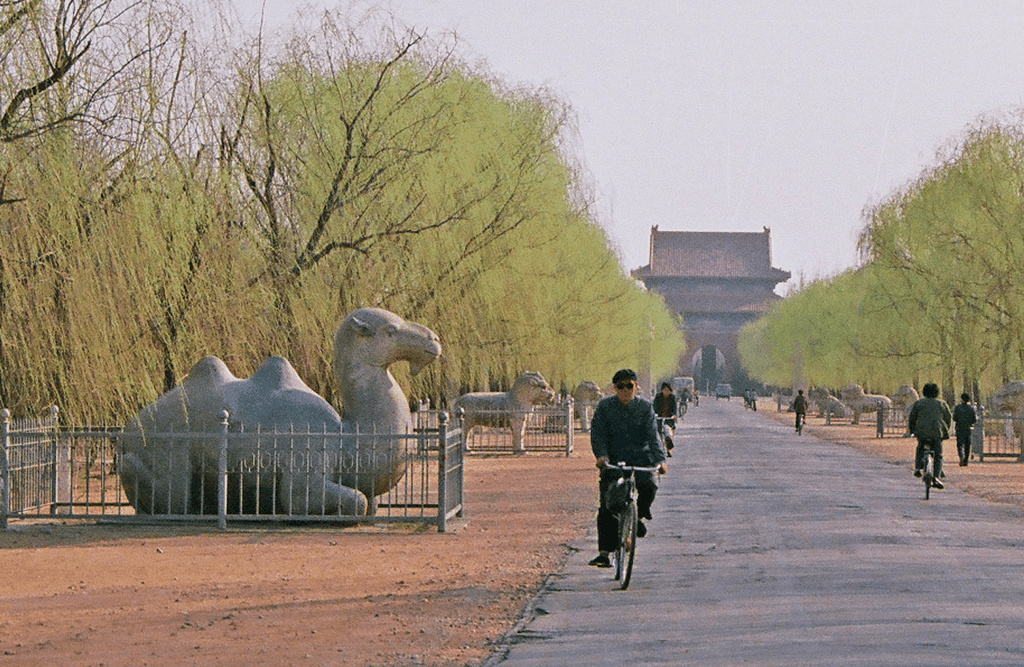 明十三陵神道春景