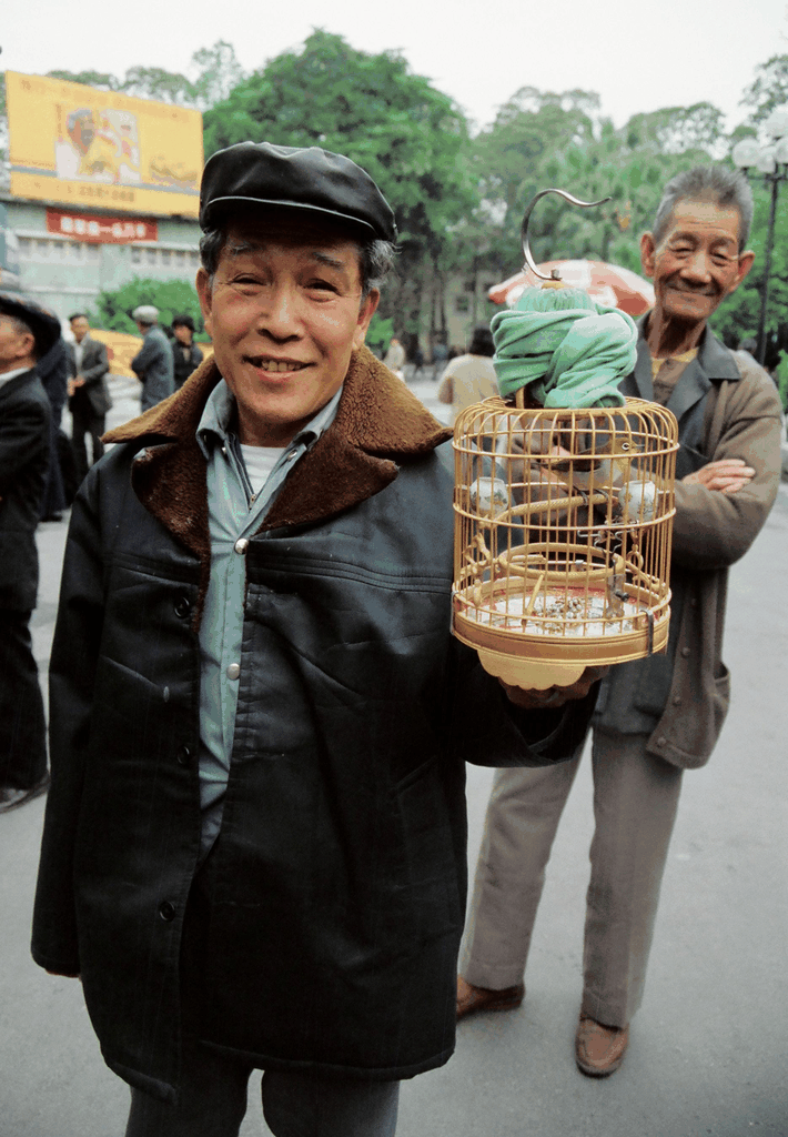 老照片中的养鸟老人