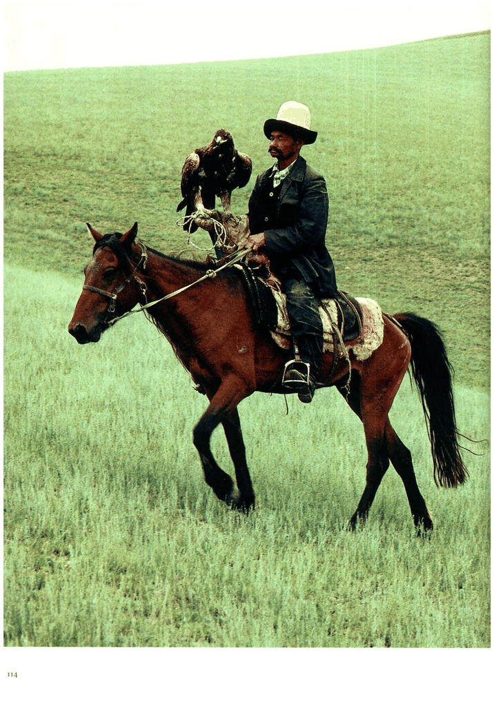 一位哈萨克族猎人与他的猎鹰