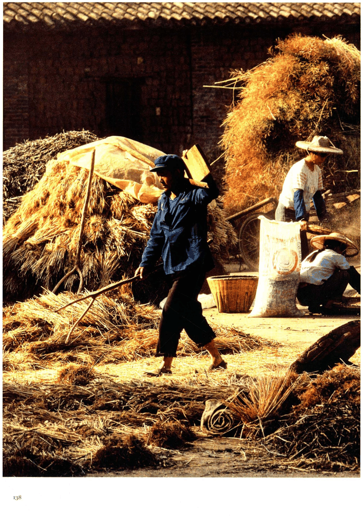 秋日农家劳作图景