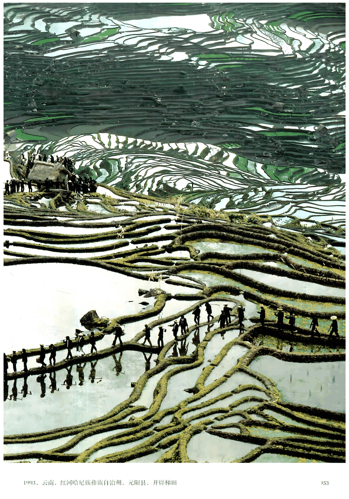 1993年云南元阳哈尼梯田开辟场景