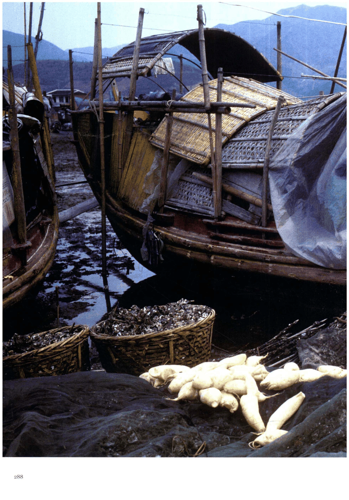 停泊在滩涂上的木船与生活物资