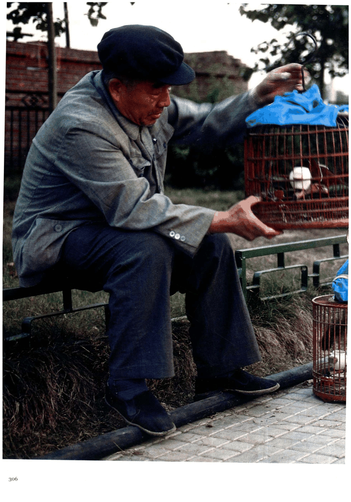 一位老人在公园长椅上整理鸟笼