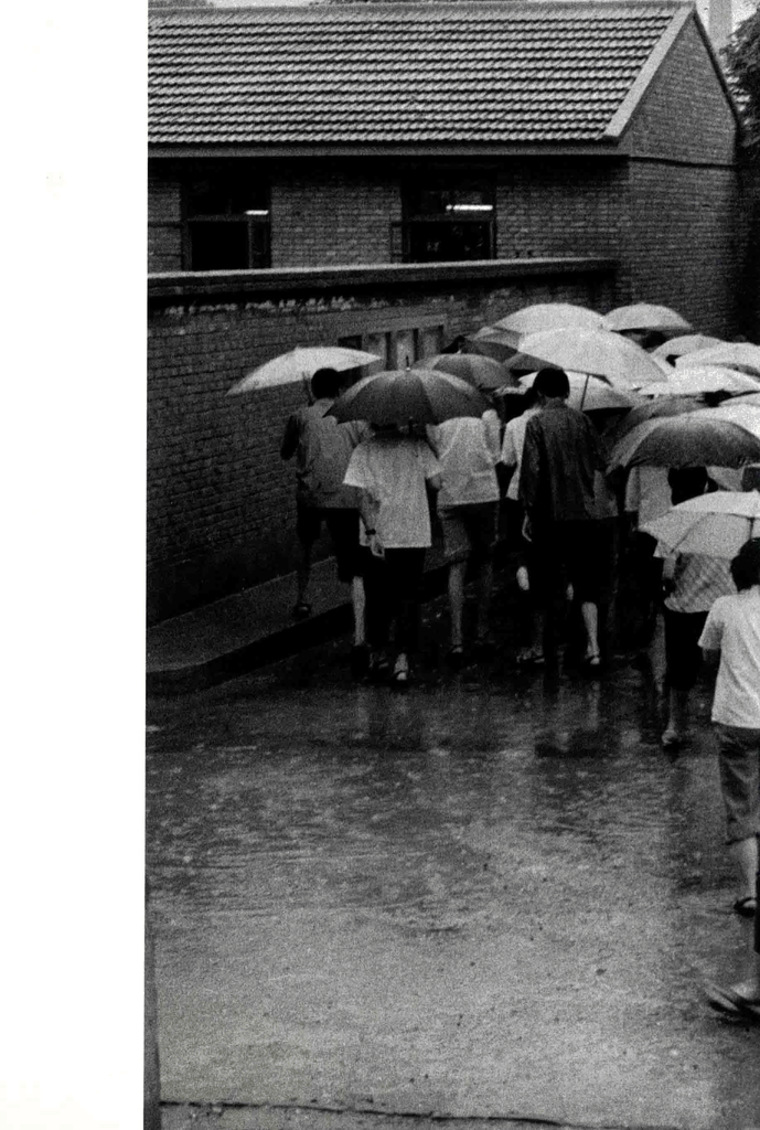 雨中匆匆的背影