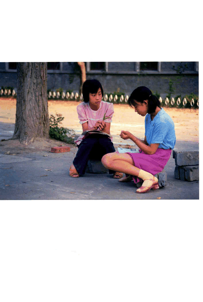 两个女孩在树下学习