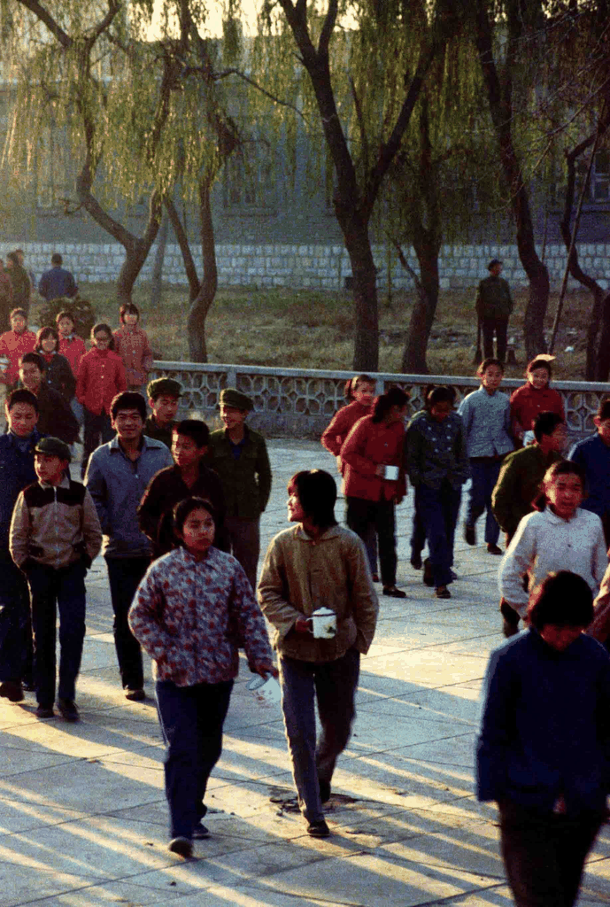 晨光中的漫步者